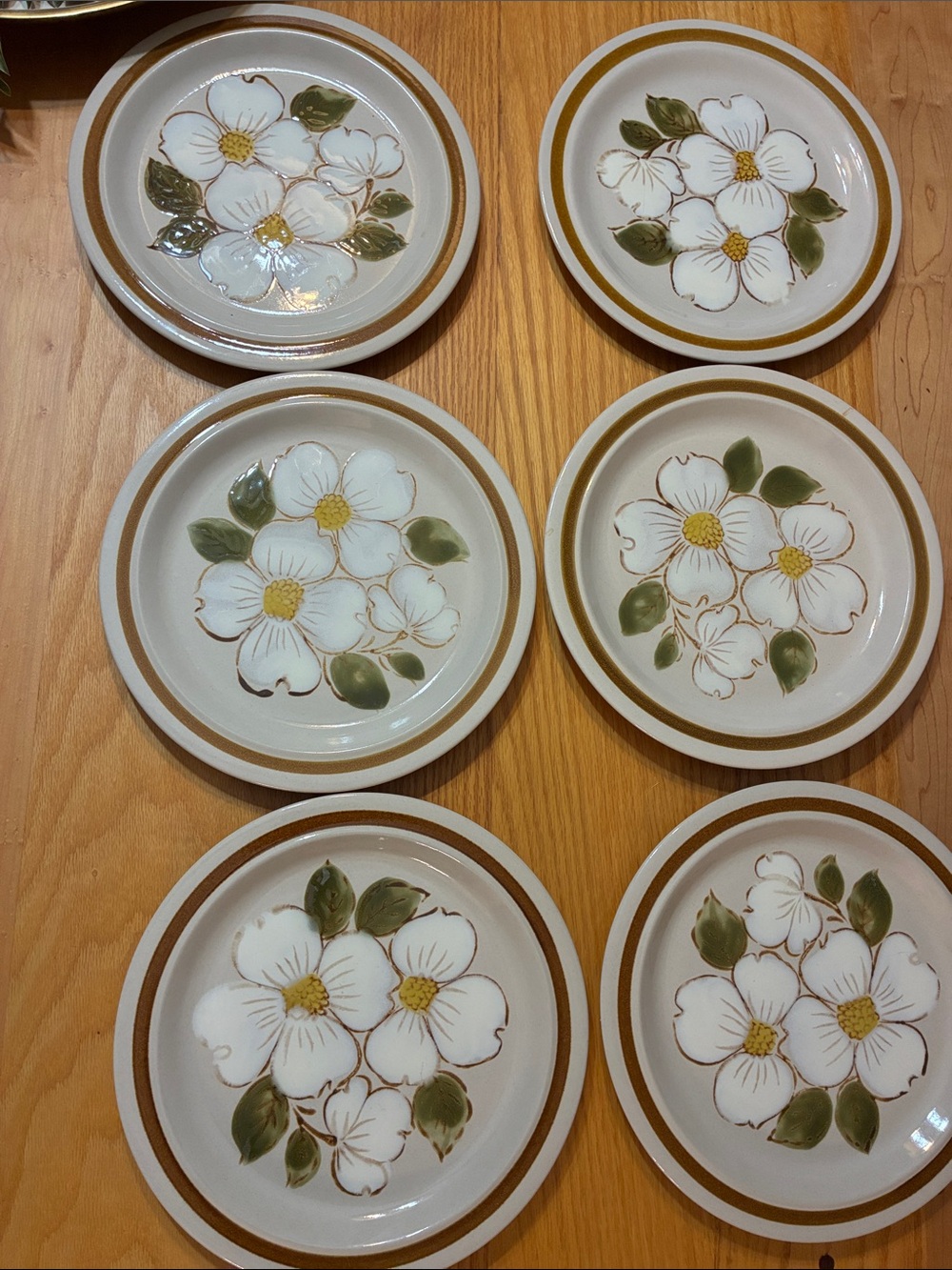 Daniele Collection New Spring Stoneware Vintage Japan Plates Set 6 12 in